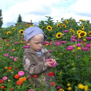 Poika kerää kukkia pellolla