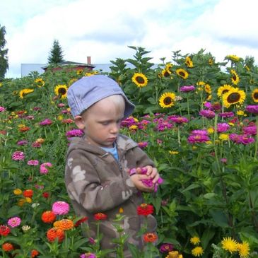 Poika kerää kukkia pellolla